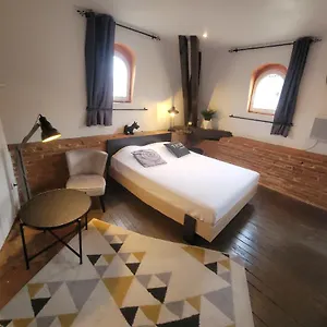 Appartement Studio Typique Toulousain Capitole